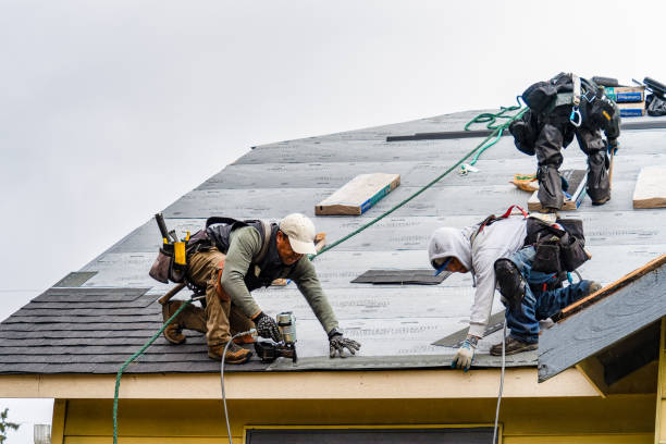 Professional Gutter Installation technician working in Haynesville, LA